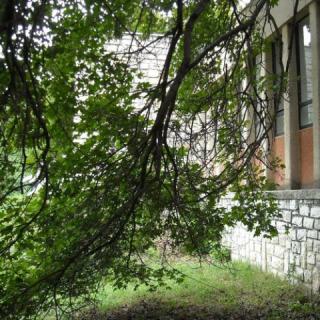 Anna Nyaralóház, 4 szoba 6 férőhely