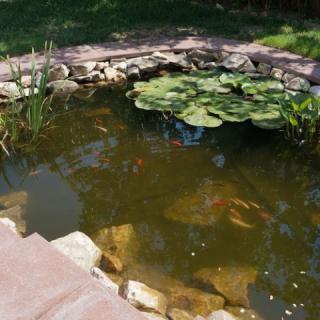 Bognár Haus, 4 apartman 15 férőhely