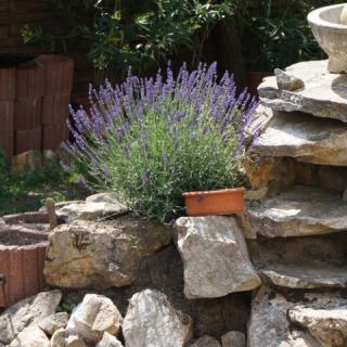 Bognár Haus, 4 apartman 15 férőhely