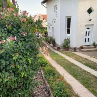 Eszter Apartman, 1 apartman 4 férőhely