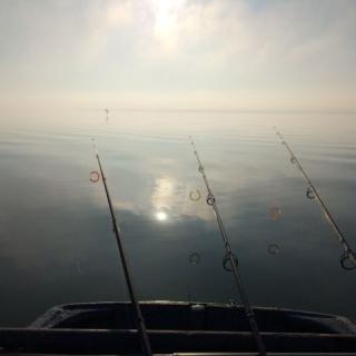 Zöld Ház Apartman, 1 apartman 8 férőhely