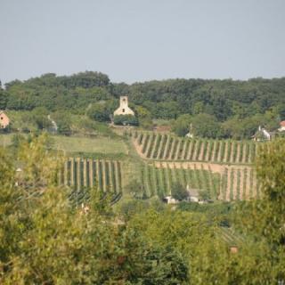 Első Ház, 1 apartman 8 férőhely