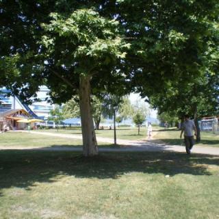 Kikötő Apartman, 1 apartman 4 férőhely