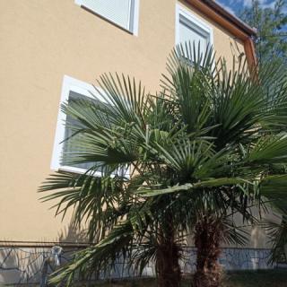 MeLuis Nyaraló, 4 szoba 7 férőhely