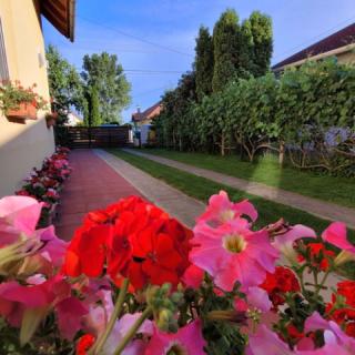 Bence Apartman, 3 apartman 12 férőhely