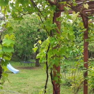 Arina Vendégház, 3 szoba 4 férőhely