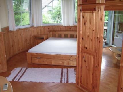 Balatonfenyvesen közvetlen vízparti luxus nyaraló (79)