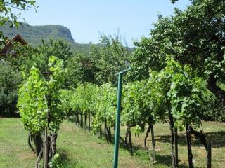 Badacsony közelében, hegyre, Balatonra panorámás családi ház