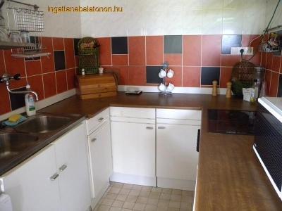 Vízparti, önálló nyaralóház, árnyékos szabadstrand szélén