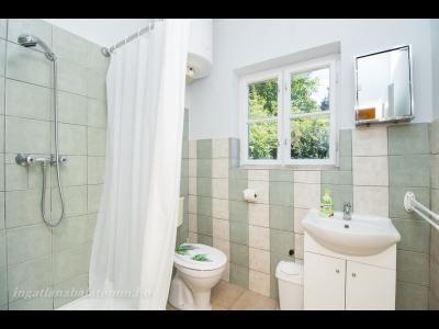 Ikerfél nyaraló a Balatontól 300 méterre (958)