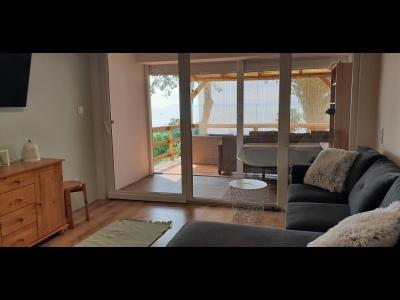 Igényes közvetlen vízparti ikerfél max 5 főnek Szántódon (317)