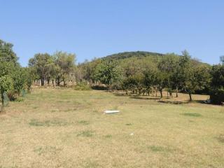 Nagy révfülöpi telek - 149 999 985 Ft