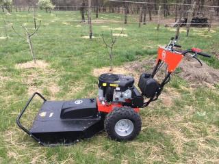 Bozótvágás, fűnyírás a Balatonnál, Zöldszamuráj