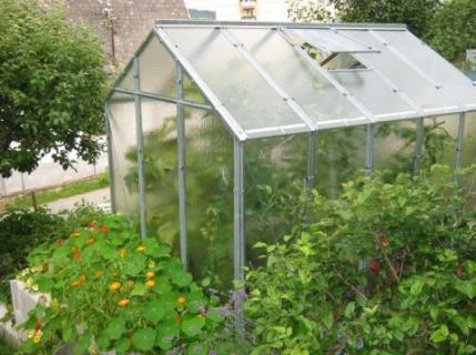 Üvegház - Hobby (nem a kínai gagyi!)