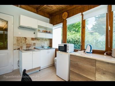 Ikerfél nyaraló a Balatontól 300 méterre (958)