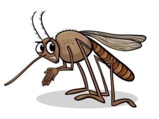 Szúnyogirtás, szúnyoggyérítés, szúnyogok irtása