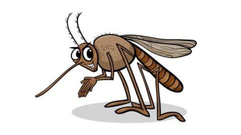 Szúnyogirtás, szúnyoggyérítés, szúnyogok irtása