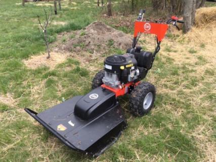 Bozótvágás, fűnyírás a Balatonnál, Zöldszamuráj