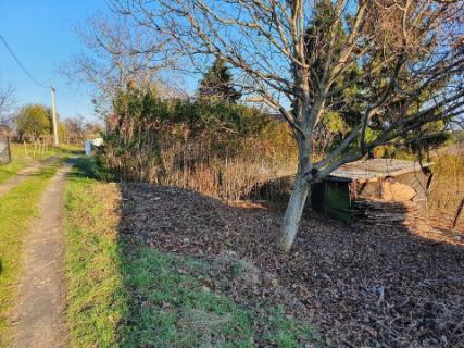 Kert- és nyaraló gondozás