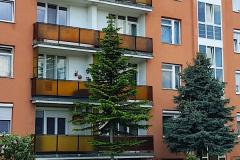 Kuckó Apartman, 1 apartman 2 férőhely