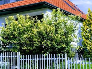 Margit Apartmanház, 1 apartman 16 férőhely