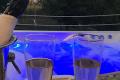 Homoki Spa Üdülőház, 3 szoba 6 férőhely