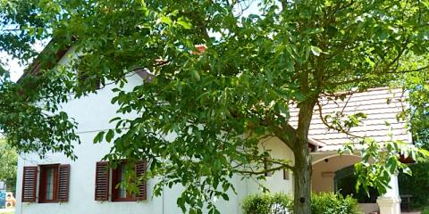 István Pince Vendégház, 2 szoba 6 férőhely