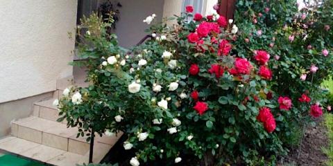 Nikes Üdülőház, 4 szoba 6 férőhely