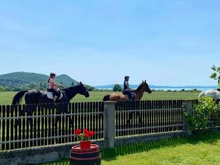 Aszófői Apartmanház, 4 apartman 12 férőhely