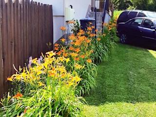 Liliom Apartman, 1 apartman 7 férőhely