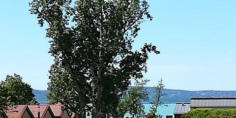 Ozone Apartman, 1 apartman 2 férőhely