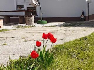 Salamander Vendégház, 3 szoba 6 férőhely