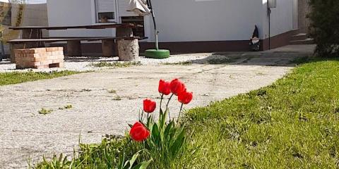 Salamander Vendégház, 3 szoba 6 férőhely