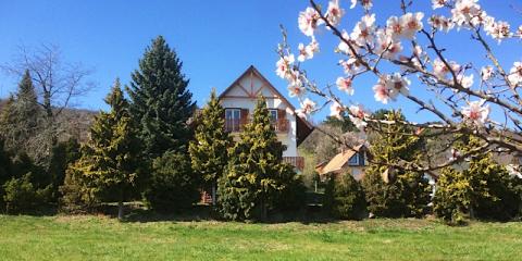 pARTvonal Apartmanház, 4 apartman 2 férőhely