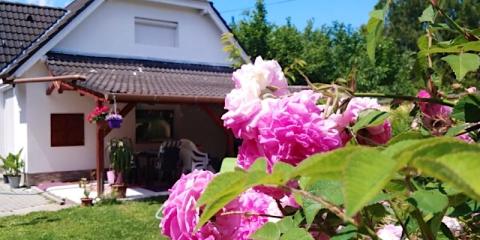 Neo Apartman, 2 apartman 8 férőhely