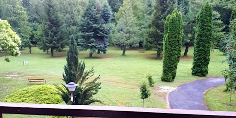 Festetics Apartman, 1 apartman 6 férőhely