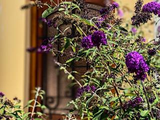 Pataki Porta Apartmanház, 2 apartman 8 férőhely