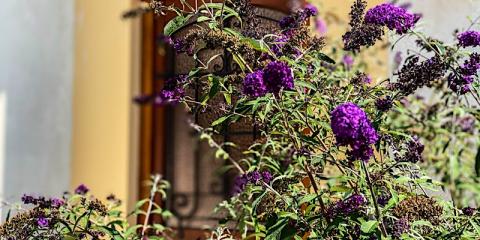 Pataki Porta Apartmanház, 2 apartman 8 férőhely