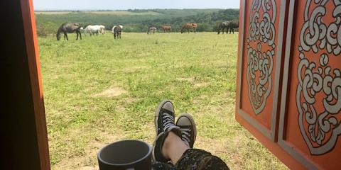 Dharma Mentett Állatok Kertje Bungalók Farmping, 9 faház 18 férőhely