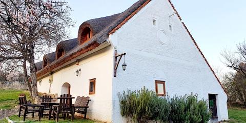 Péter Pince Nyaralóház, 3 szoba 12 férőhely