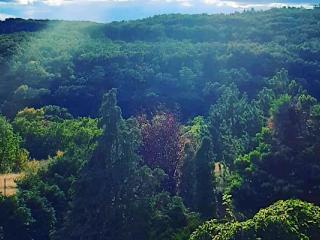 Forrás Hegyi Apartman, 1 apartman 4 férőhely