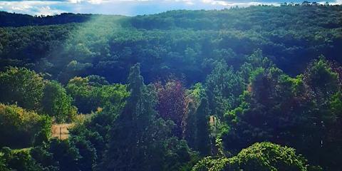 Forrás Hegyi Apartman, 1 apartman 4 férőhely