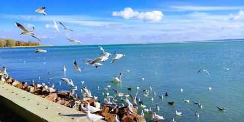 Diófa Lak, 2 szoba 4 férőhely