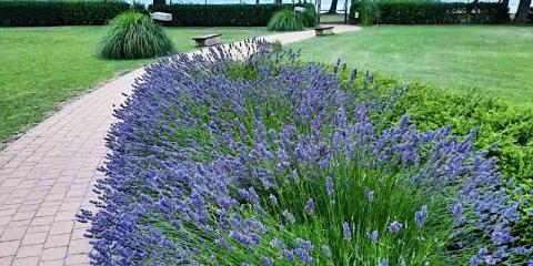 Aranykuckó Apartman, 1 apartman 3 férőhely