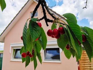 Szilvia Vendégház, 2 szoba 4 férőhely