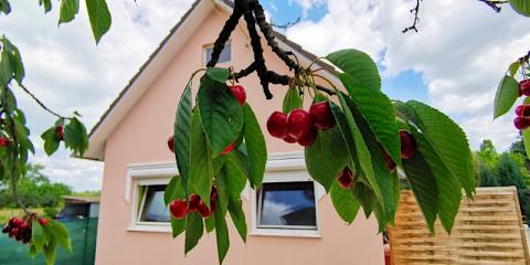 Szilvia Vendégház, 2 szoba 4 férőhely