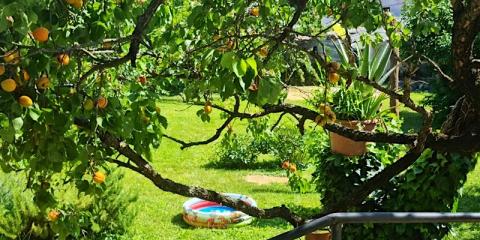 Primavera Vendégház, 2 szoba 4 férőhely