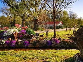 Patak-Parti Pihenő, 1 apartman 4 férőhely