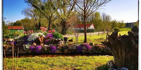 Patak-Parti Pihenő, 1 apartman 4 férőhely