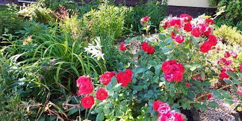 Tünde Lak Apartman, 1 apartman 4 férőhely